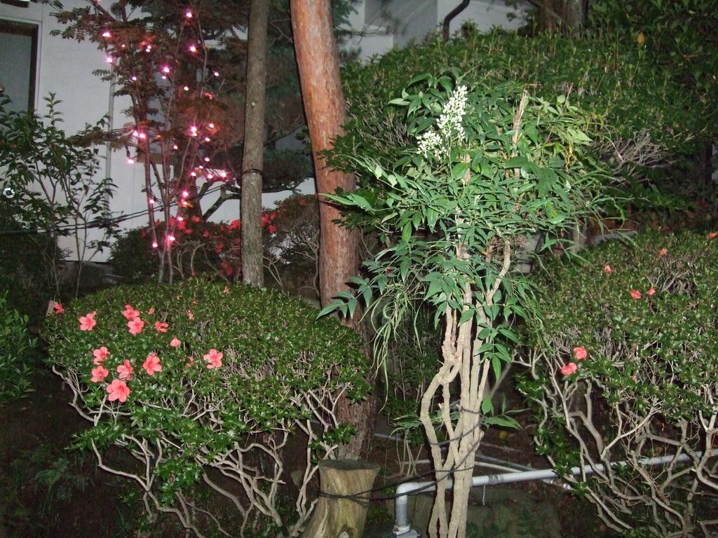Marunaka Ryokan มัตสึโมโตะ ภายนอก รูปภาพ